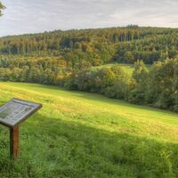 Moosalbwanderweg