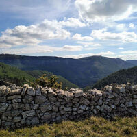 Wald von Parlatges ab St. Pierre de la Fage @ Gilles Delerue