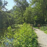 Park an den Almequellen Brilon