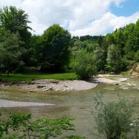 Sitterschlaufe im Erlenholz