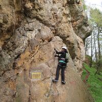 Währingersteig
