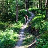 Mountainbikerin auf der Aich-Runde