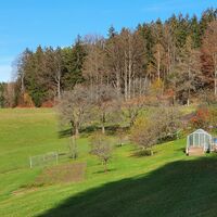 18.5 km Wildgehege Guglwald