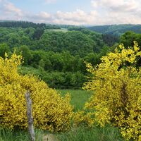 Natursteig Sieg Etappe 9