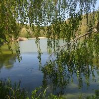 Frühling am Mühlenweiher