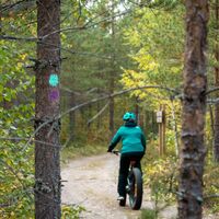Mountainbiker entlang des Yhdysreitti und Surmilampi Trails
