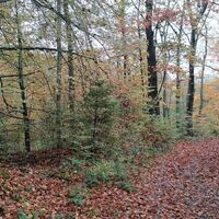 Oberhalb des Lambsbachs auf dem felsigen Weg unterwegs