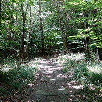 am Weg zur Redlinger Hütte