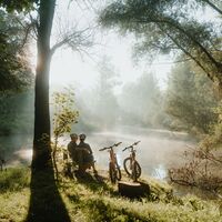 Radeln im Wald Au an der Donau