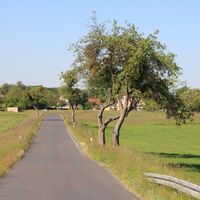 Straße Richtung Baruth