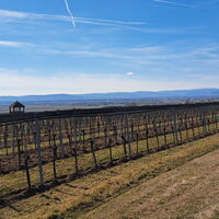 am Weg zur Aussichtswarte