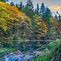 Pfanntalsteich, nahe Bahnhof Oberhof