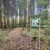 Station am Waldbadepfad Assamstadt