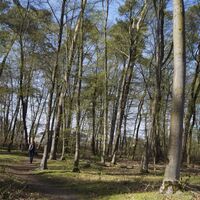 Otterbachbruch Wanderweg
