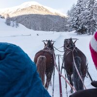 Kutschenfahrt ins Val S-charl