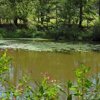 Dobersberg - Karlstein - Raabs a. d. Thaya