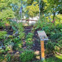 Kräutergarten am Vogelerlebnispfad Medebach-Dreislar
