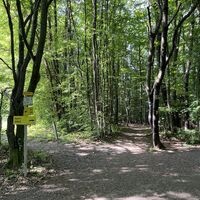 Kurz vor Füllenberg bei dieser Wegkreuzung geradeaus weiter ..