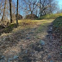 Waldweg in Inverso Pinasca
