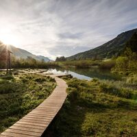 Zelenci