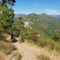 Technischer Trail - Mountainbike Le mont chauve