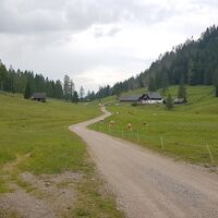 Hermagorer Bodenalm