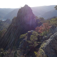 Abstieg am Vogelbergsteig