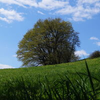 am Derenbach