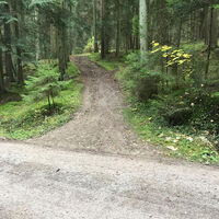 Hier geht es den Berg hinauf auf dem Albvereinsweg - blauer Punkt