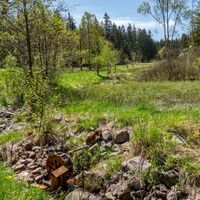 Wanderung zur Schlossbergkanzel bei Oberhof und Lütschetalsperre