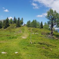 Kurz vor dem Ziel: der Hochsteinhütte