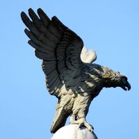 Der Adler zeigt sich in Oberndorf nur selten, am ehesten noch auf der Länderbrücke und da gleich vierfach.
