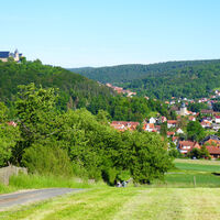 Blick auf Schloss Spangenberg