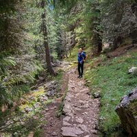 Wir passieren einen Wald