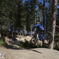 Mountainbiker in der Skill Area