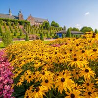 Sommerlicher Terrassengarten