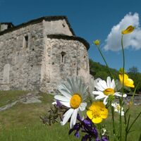146349_Chiesa S. Remigio Boscero-Corzoneso (1).JPG