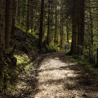 20250427_Sonnenrunde_3584.jpg