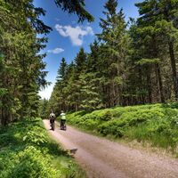 Wanderung zum Schneekopf, Thüringer Wald