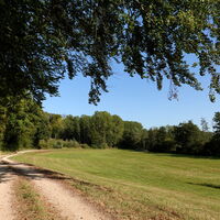Feldweg mit leichter Steigung nach Ührde