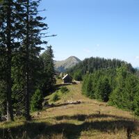 Hinternaßwald - Grenzriegel - Amaißbichl
