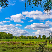 Bilderbuchlandschaft am NORDPFAD Federlohmühlen