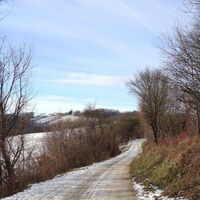 Blick zum Haschhof