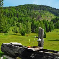 Ruhe und Idylle prägen die Mooswiesen