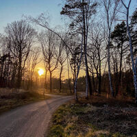 Sonnenuntergang auf den Radwegen im Vorgebirge