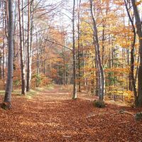 am Kaschlsteig