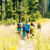 In den Königgraben (c) TV Region Graz-Mias PhotoArt