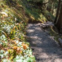 Weg zur Muletg - Trutg dil Flem Brücke