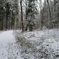 Rastbühel Runde