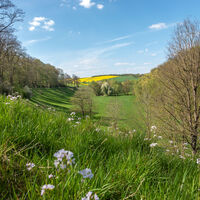 Blick_Kuventhal_R_Wenzen